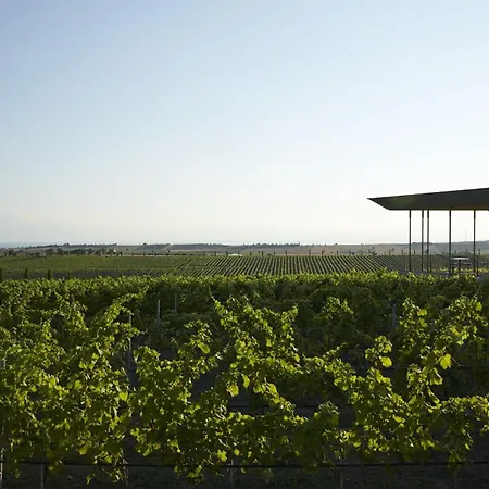 Lux Mint - Sea View - 3br - Free Parking